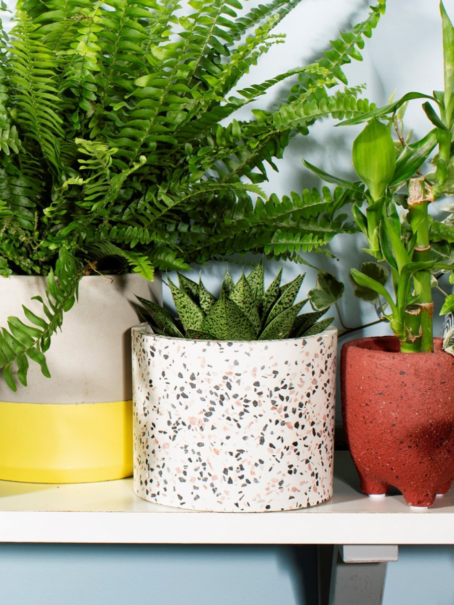 Terrazzo Planter Large- PICK UP ONLY