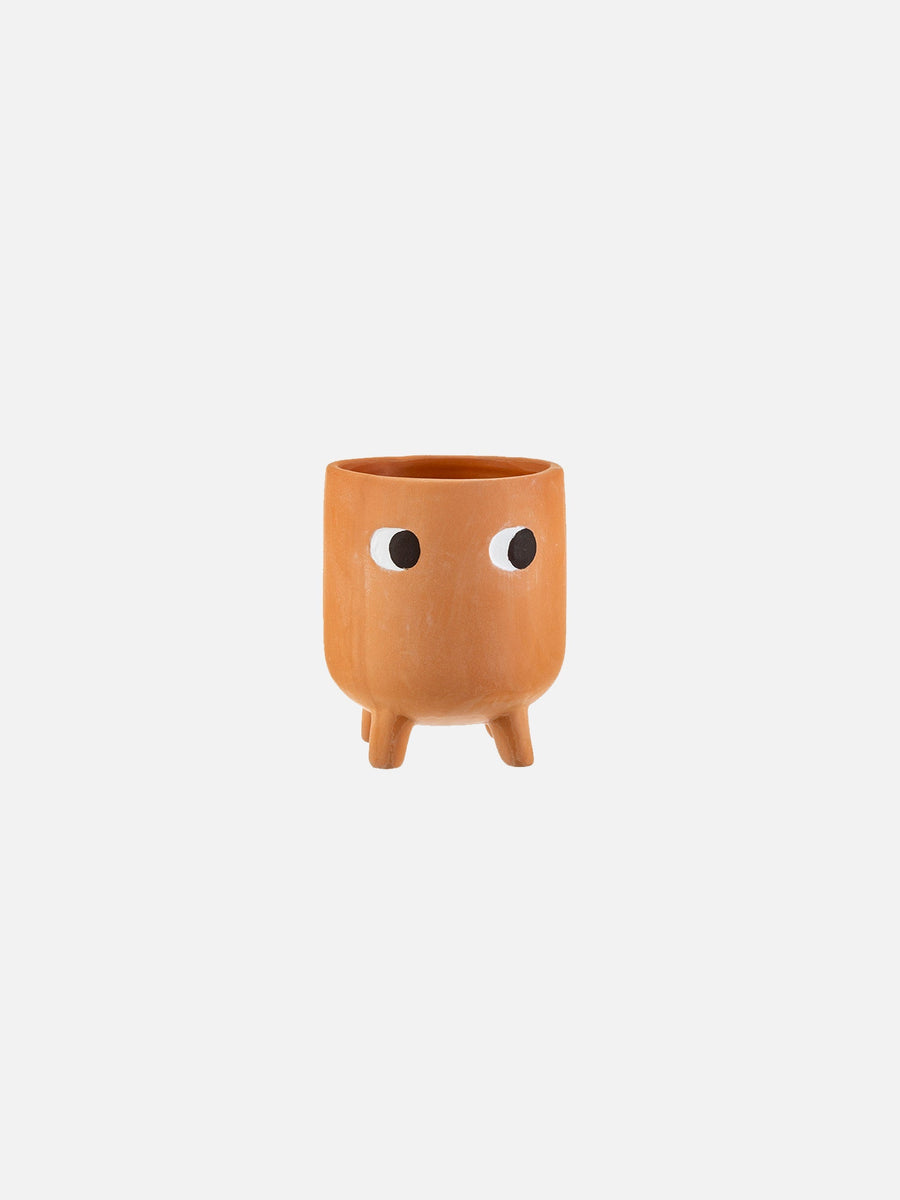 Little Leggy Terracotta Planter - PICK UP ONLY